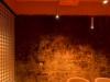 04_orange room